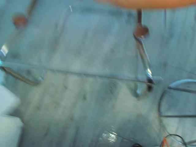 Maya-Hellen webcam
