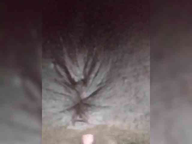 queencharry22 webcam