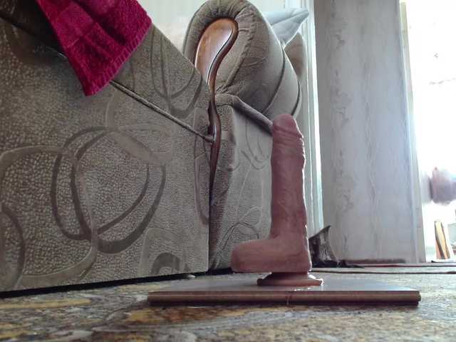 Koshka8a