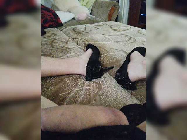 Koshka8a