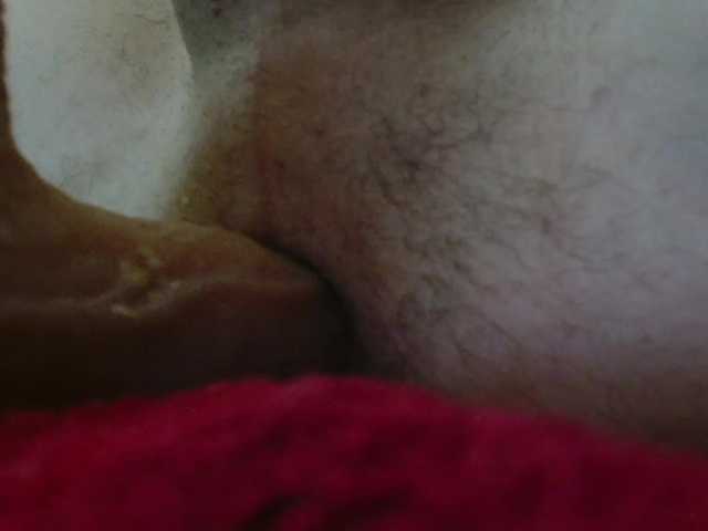 Koshka8a