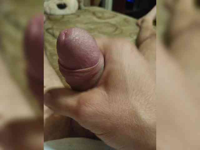 Koshka8a