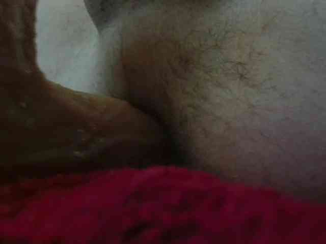 Koshka8a