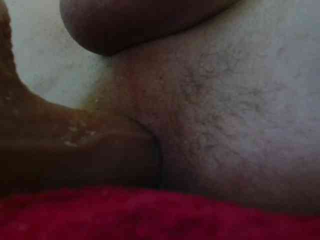Koshka8a
