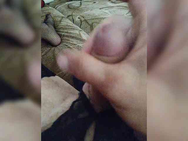 Koshka8a