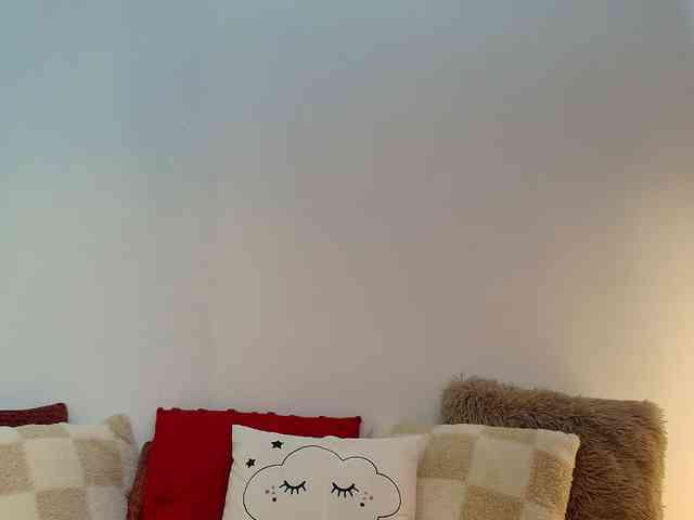 Fionna webcam