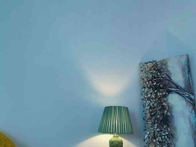 Fionna webcam