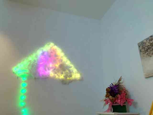 Fionna webcam