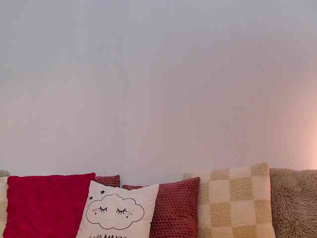 Fionna webcam