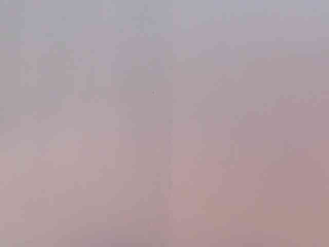 Fionna webcam