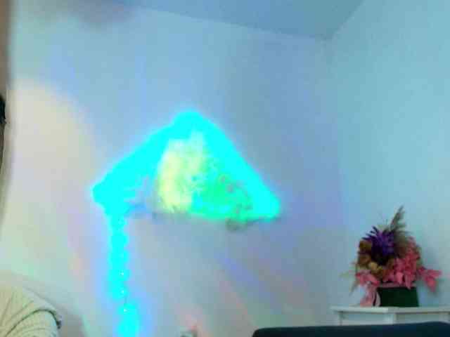 Fionna webcam