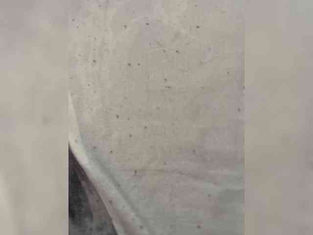 Sexinstructor696 Live Webcam on BongaCams