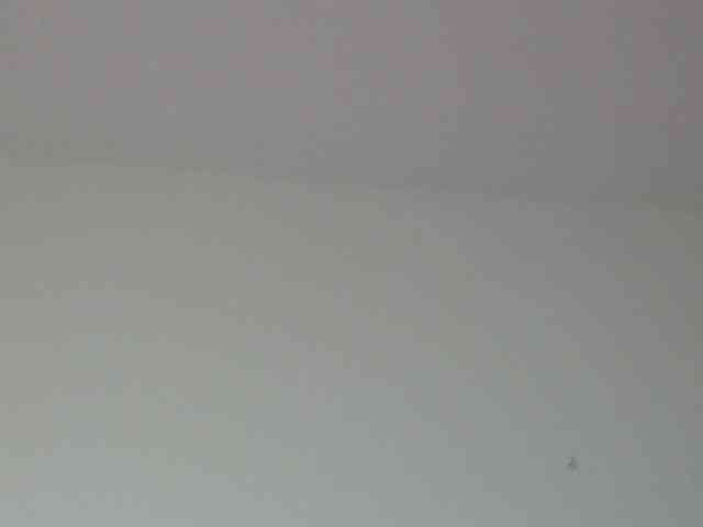 EmilyAngels webcam