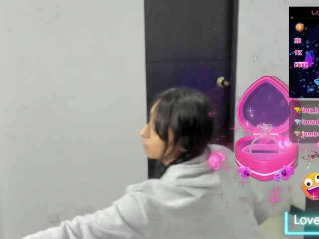 GANESHA-2 webcam