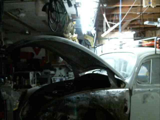 shemakeucum shemakeucum