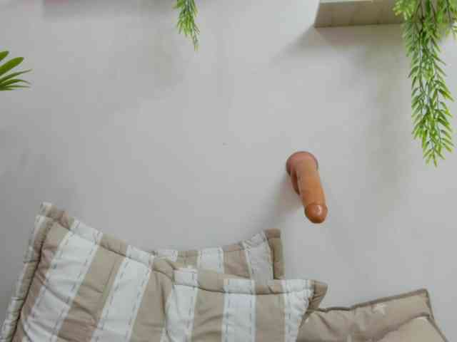 HussyMaid webcam