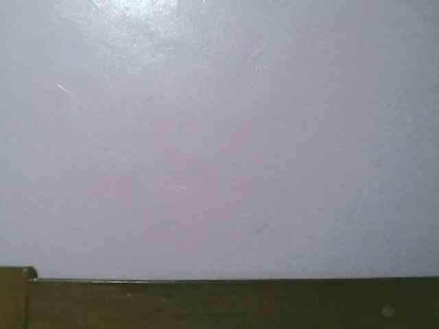 Sandra356 webcam