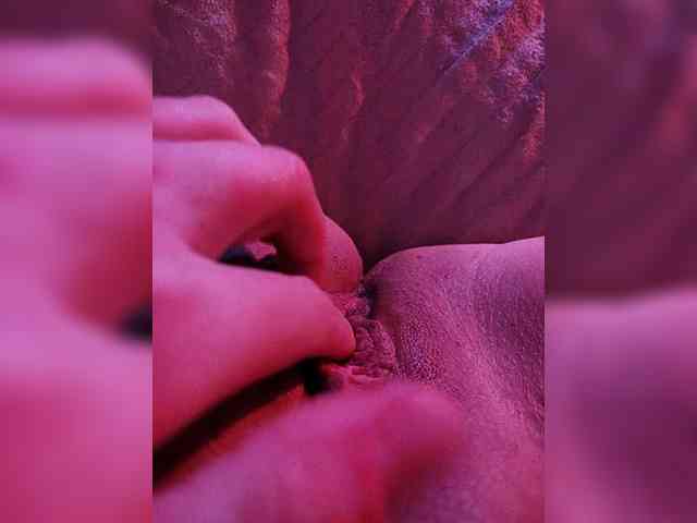 PANTYHOSECOUPLE webcam