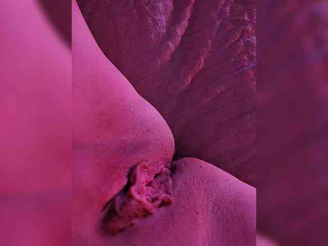 PANTYHOSECOUPLE webcam