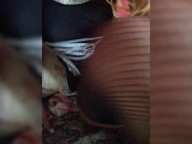 Maella22 webcam