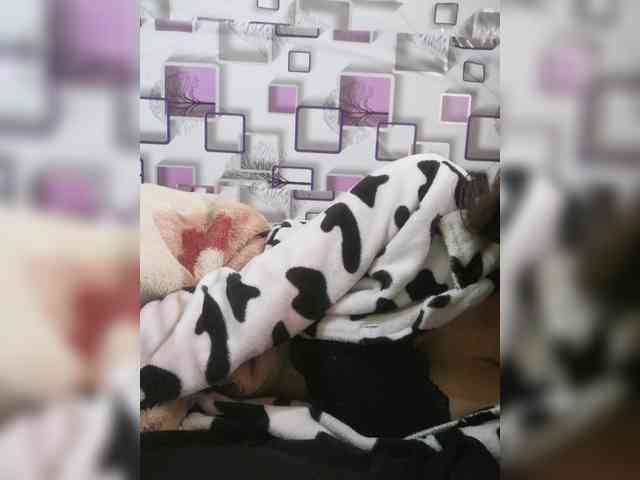 Maella22 webcam