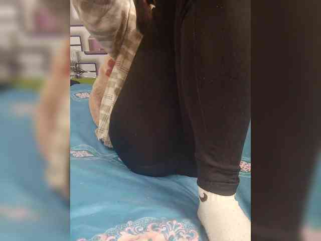 Maella22 webcam