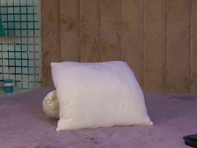 MiaAddison MiaAddison