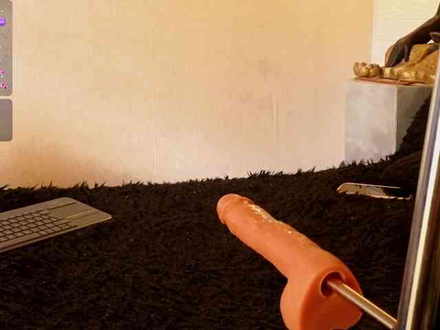 Dannaa-williamss webcam