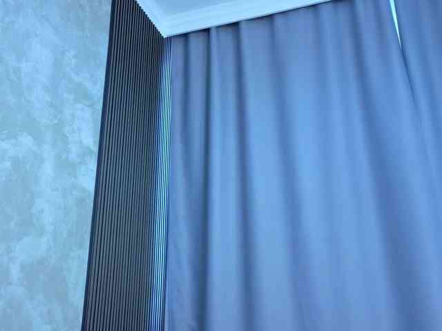 vialeta-baby webcam
