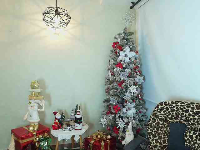 Victoria-Collins webcam