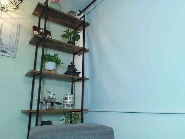 Victoria-Collins webcam