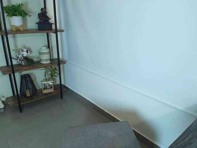 Victoria-Collins webcam