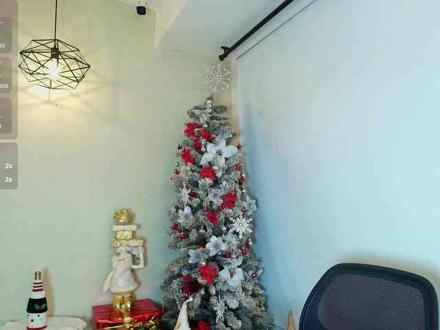 Victoria-Collins webcam