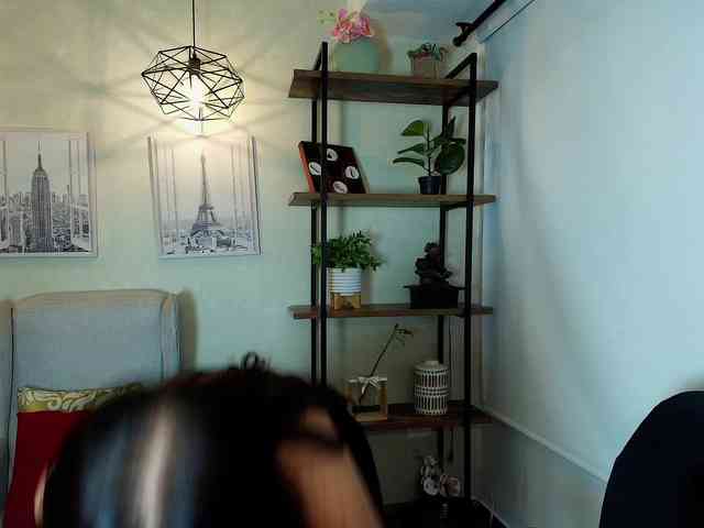 Victoria-Collins webcam