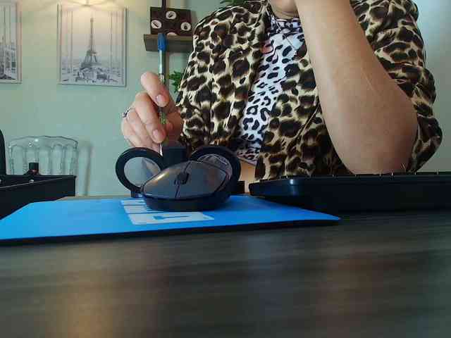 Victoria-Collins webcam