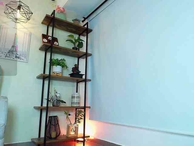 Victoria-Collins webcam