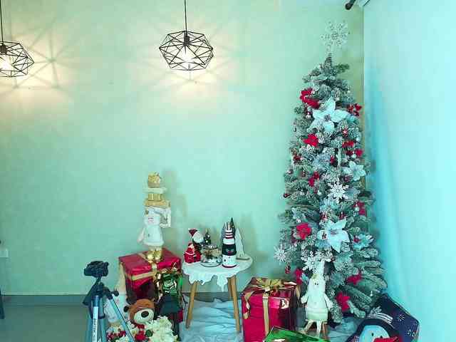 Victoria-Collins webcam