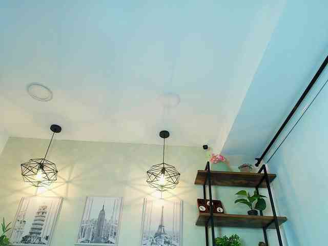 Victoria-Collins webcam