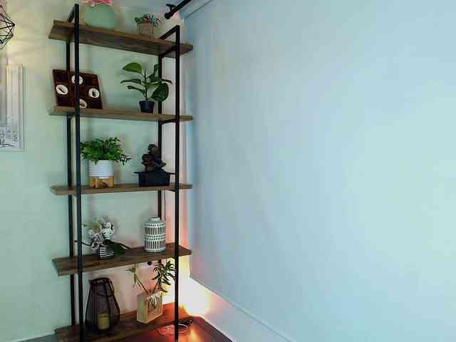 Victoria-Collins webcam