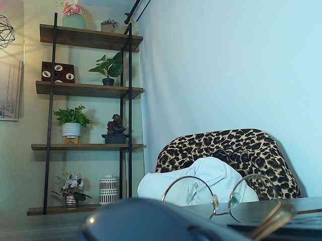 Victoria-Collins webcam