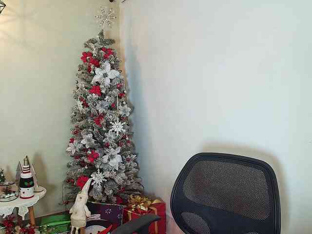 Victoria-Collins Victoria-Collins