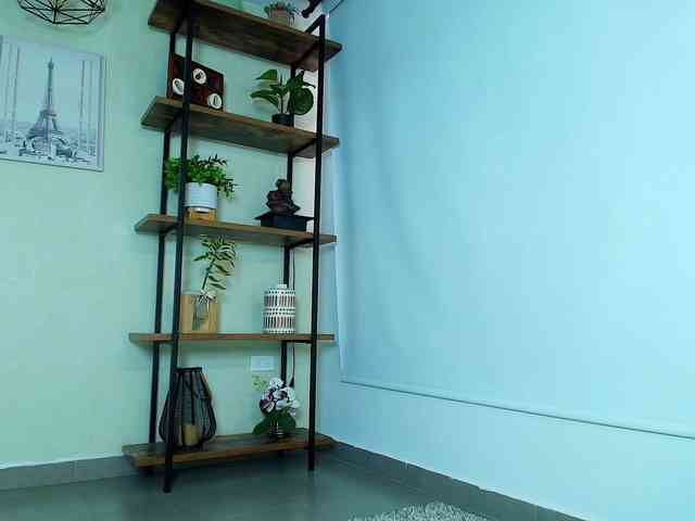 Victoria-Collins webcam