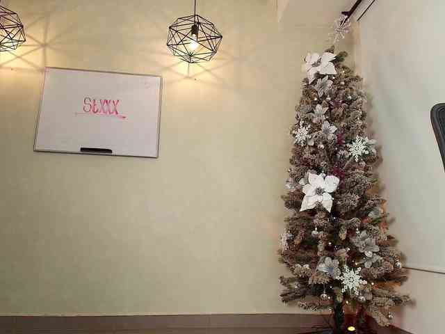 Victoria-Collins webcam