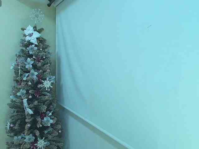 Victoria-Collins webcam