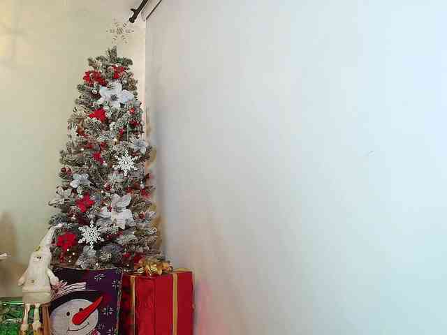 Victoria-Collins Victoria-Collins