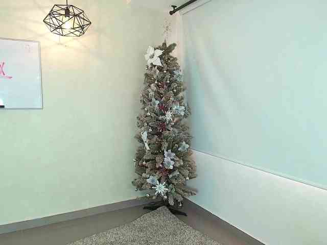 Victoria-Collins webcam