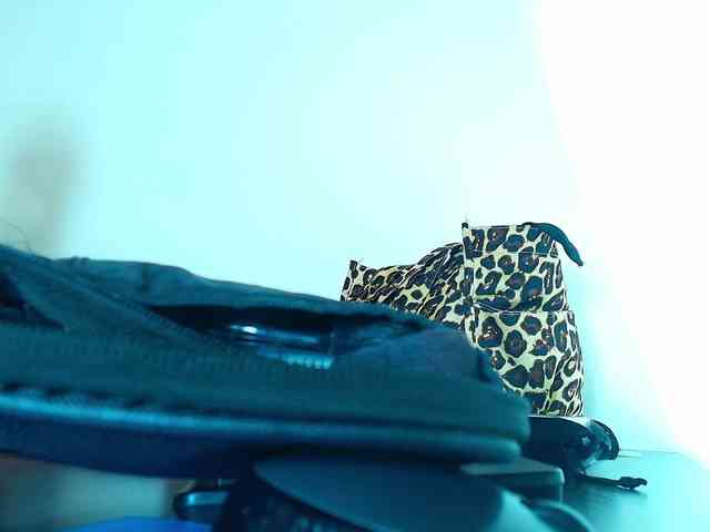 Victoria-Collins Victoria-Collins