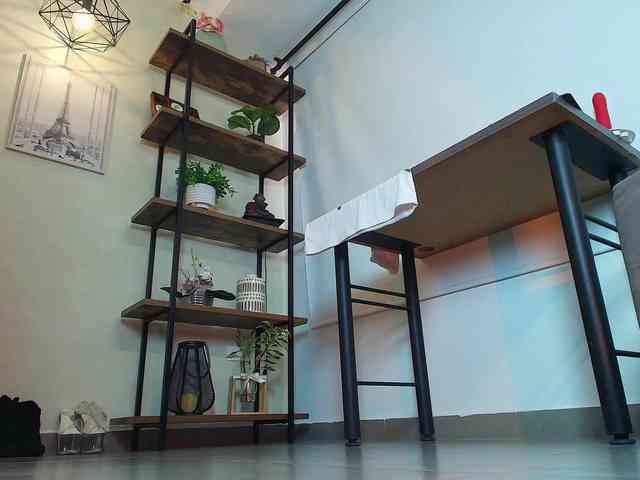 Victoria-Collins webcam