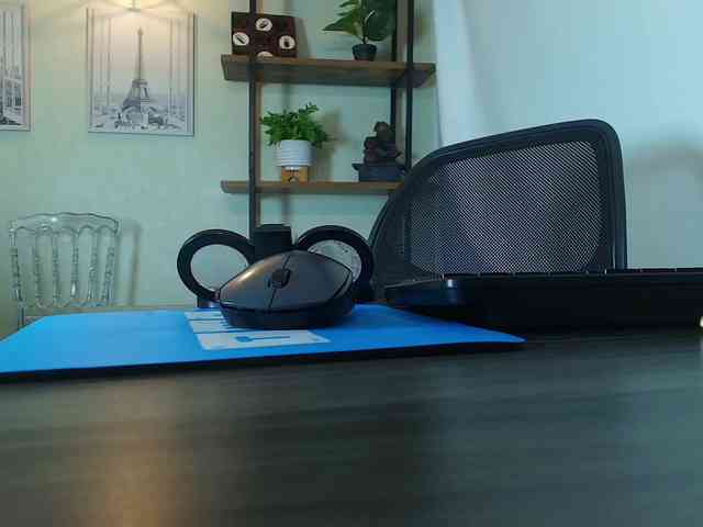 Victoria-Collins webcam