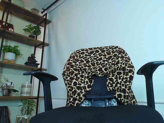 Victoria-Collins webcam